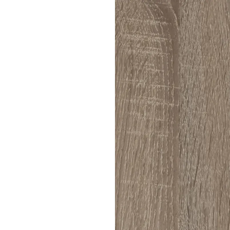 Dąb Truflowy/białe